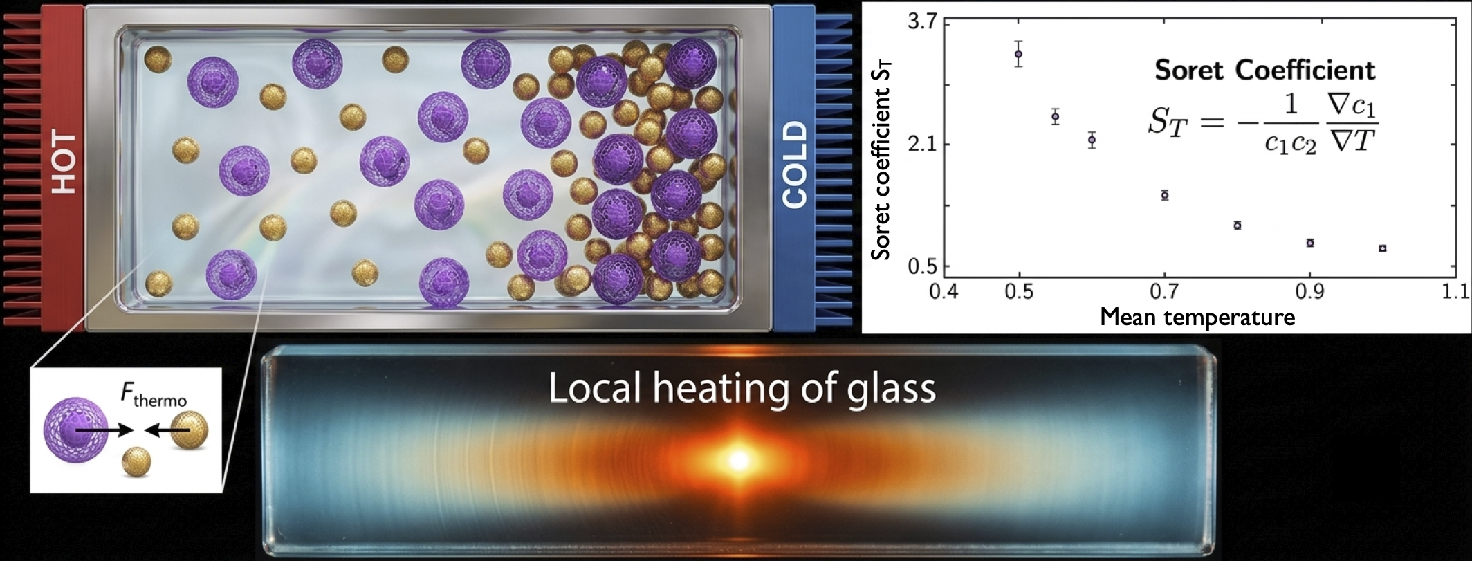 Soret effect and local thermal response in glass-forming systems